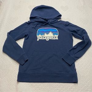Patagonia Graphic Hoodie (M)